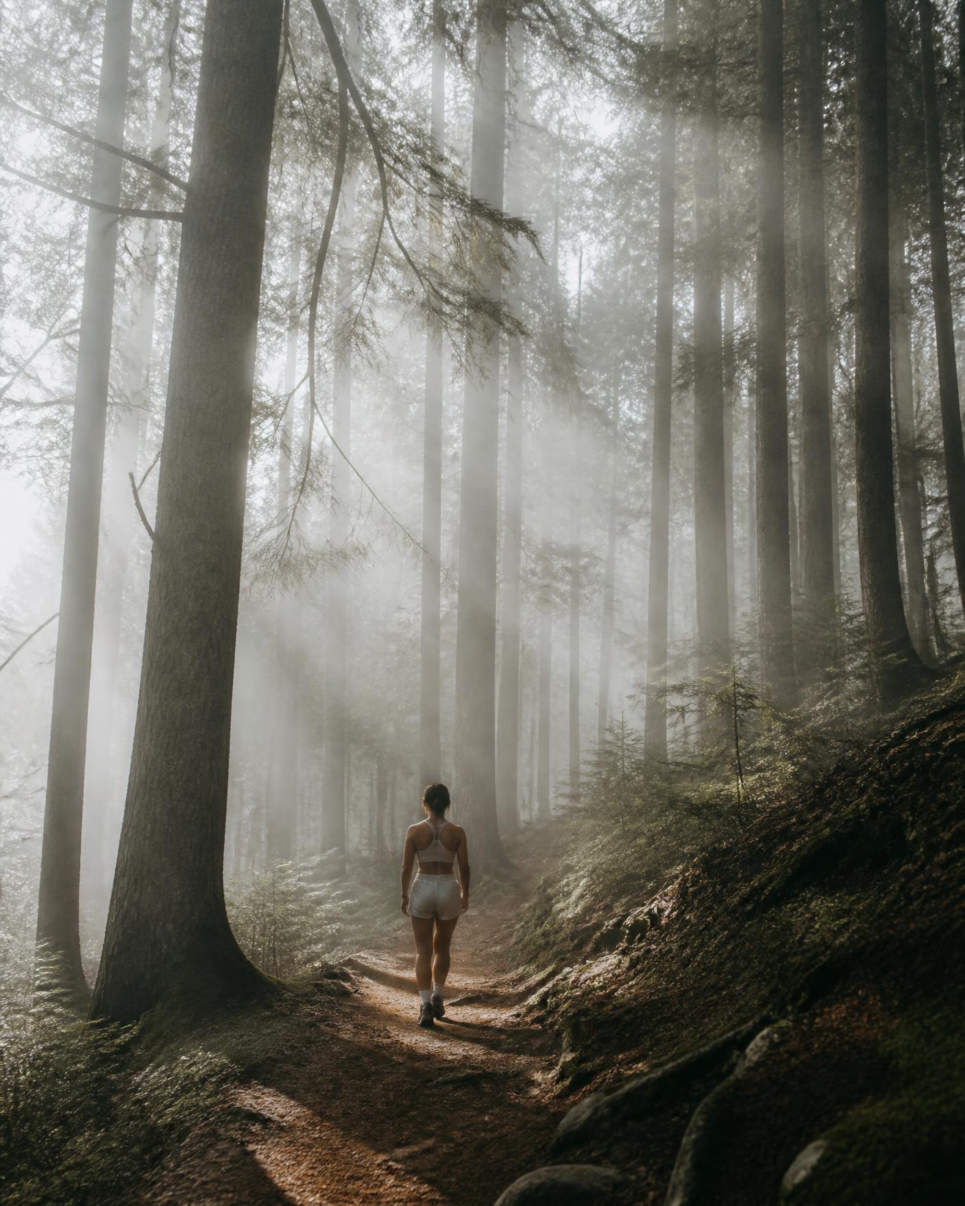 Uma pessoa caminhando sozinha numa trilha de floresta com névoa e luz suave da manhã